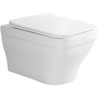 Унитаз Aquatek Амадео подвесной с сиденьем Микролифт арт-AQ1180-00 — фото 1, Подвесные унитазы