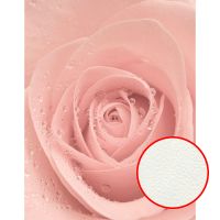 Фреска Ortograf Цветы 30027 Фактура флок FLK Флизелин (2,1*2,7) Розовый, Цветы арт-30027 (флок FLK) — фото 1, Фрески