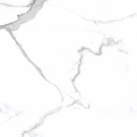 Товар: Керамогранит Primavera Salvatore Polished 60x60 см арт-PR107 - фото 1 Керамогранит Primavera Salvatore Polished 60x60 см арт-PR107 — фото 1, Керамогранит