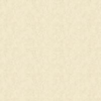 Обои Bruno Zoff Silver Фольга на флизелине (1,06*10,05) Бежевый, Штукатурка арт-60114-3 — фото 2, Обои для стен