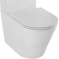 Товар: Унитаз компакт Jacob Delafon Rodin+ без бачка и сиденья арт-UJAB102-00 - фото 2 Унитаз компакт Jacob Delafon Rodin+ без бачка и сиденья арт-UJAB102-00 — фото 2, Напольные унитазы