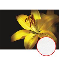 Фреска Ortograf Цветы 3933 Фактура бархат FX Флизелин (4*2,7) Желтый/Черный, Цветы арт-3933 (бархат FX) — фото 1, Фрески