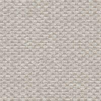 Обои Alessandro Allori Barbara Винил на флизелине (1,06*10,05) Серый, Рогожка арт-2609-2 — фото 1, Обои для стен