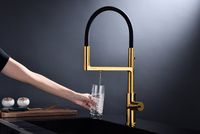 Смеситель для кухни Paulmark Tornado Брашированное золото арт-To213402-BG — фото 8, Смесители для кухни