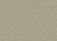 Обои Zambaiti Parati Trussardi VII Винил на флизелине (0,7*10,05) Коричневый, Рогожка арт-18945 — фото 2, Обои для стен