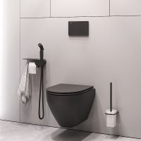 Унитаз AM.PM Spirit V2.0 FlashClean подвесной с гигиеническим душем и ершиком с сиденьем Микролифт арт-CK70H1103B — фото 3, Подвесные унитазы