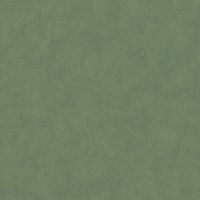 Обои Bernardo Bartalucci Cesara Флизелин (1,06*10,05) Зеленый, Штукатурка арт-5012-8 — фото 1, Обои для стен