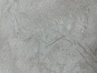 Обои Prima Italiana Legenda Винил на флизелине (1,06*10) Бежевый/Серебряный, Штукатурка арт-80114 — фото 4, Обои для стен