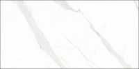 Керамогранит Geotiles Statuary Blanco 60х120 см арт-Statuary Blanco 60x120 Leviglass — фото 1, Керамогранит
