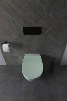 Товар: Унитаз Allen Brau Fantasy подвесной Мятный без сиденья арт-4.11004.MT - фото 10 Унитаз Allen Brau Fantasy подвесной Мятный без сиденья арт-4.11004.MT — фото 10, Подвесные унитазы