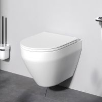 Унитаз AM.PM Spirit V2.0 FlashClean подвесной Белый матовый с сиденьем микролифт арт-C701700MWSC — фото 12, Подвесные унитазы