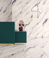 Товар: Керамогранит Seron Bianca Fantastic Exotic 80х160 см арт-SN74950 - фото 2 Керамогранит Seron Bianca Fantastic Exotic 80х160 см арт-SN74950 — фото 2, Керамогранит