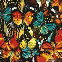 Фреска Ortograf Животные 5909 Фактура бархат FX Флизелин (2,7*2,7) Разноцветный, Бабочки арт-5909 (бархат FX) — фото 2, Фрески