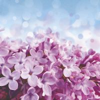 Товар: Фреска Ortograf Цветы 3153 Фактура бархат FX Флизелин (2*2) Голубой/Розовый, Цветы арт-3153 (бархат FX) - фото 2 Фреска Ortograf Цветы 3153 Фактура бархат FX Флизелин (2*2) Голубой/Розовый, Цветы арт-3153 (бархат FX) — фото 2, Фрески