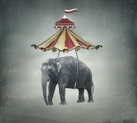 Товар: Фреска Ortograf Животные 10874 Фактура бархат FX Флизелин (3*2,7) Серый, Животные/Абстракция арт-10874 (бархат FX) - фото 2 Фреска Ortograf Животные 10874 Фактура бархат FX Флизелин (3*2,7) Серый, Животные/Абстракция арт-10874 (бархат FX) — фото 2, Фрески