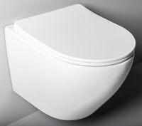 Унитаз WellWant Aura подвесной с сиденьем Микролифт арт-WWU01122W — фото 4, Подвесные унитазы