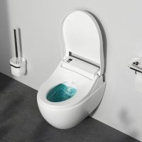 Унитаз биде AM.PM Awe подвесной с сиденьем Микролифт арт-C111739SC — фото 14, Умные унитазы