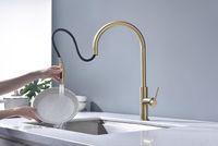 Смеситель для кухни Paulmark Senso Светлое брашированное золото арт-Se215180-SBG — фото 8, Смесители для кухни