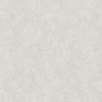 Обои Bernardo Bartalucci Ragazza Флизелин (1,06*10,05) Серый, Штукатурка арт-5036-3 — фото 1, Обои для стен