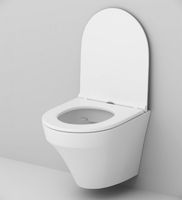 Товар: Комплект унитаза с инсталляцией AM.PM Inspire FlashClean с сиденьем Микролифт и Черной клавишей смыва арт-IS450A38.501700 - фото 4 Комплект унитаза с инсталляцией AM.PM Inspire FlashClean с сиденьем Микролифт и Черной клавишей смыва арт-IS450A38.501700 — фото 4, Комплекты унитаз + инсталляция