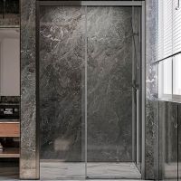 Душевая дверь Veconi Premium Trento PTD-30GR 140 профиль Брашированный графит стекло прозрачное арт-PTD30-GR-140-01-C4 — фото 1, Раздвижные душевые двери