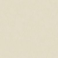 Обои Roberto Borzagi Queen I Винил на флизелине (1,06*10,05) Бежевый, Однотонные арт-90106-2 — фото 1, Обои для стен