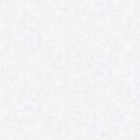 Обои Bernardo Bartalucci Bigi Флизелин (1,06*10) Белый, Штукатурка арт-5067-4 — фото 1, Обои для стен