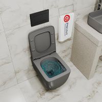 Товар: Комплект унитаза Point Меркурий PN41831GM с инсталляцией Элемент PN45120+PN44081BM Графит матовый с сиденьем Микролифт и Черной матовой клавишей смыва арт-PN48026BM - фото 11 Комплект унитаза Point Меркурий PN41831GM с инсталляцией Элемент PN45120+PN44081BM Графит матовый с сиденьем Микролифт и Черной матовой клавишей смыва арт-PN48026BM — фото 11, Комплекты унитаз + инсталляция