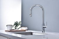 Смеситель для кухни Paulmark Galant Хром арт-Ga213077-CR — фото 2, Смесители для кухни