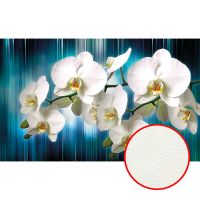 Фреска Ortograf 3D 6714 Фактура флок FLK Флизелин (4,4*2,7) Синий/Белый, Цветы/Абстракция арт-6714 (флок FLK) — фото 1, Фрески