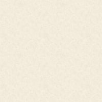 Обои Andrea Grifoni Palazzo Ducale Флизелин (1,06*10,05) Бежевый, Штукатурка арт-7017-2 — фото 1, Обои для стен