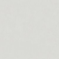 Обои Roberto Borzagi Queen I Винил на флизелине (1,06*10,05) Серый, Однотонные арт-90106-1 — фото 1, Обои для стен