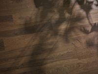 Паркетная доска Parky Pro 06 Орех Американский 1203х190х8 мм арт-PRB203 — фото 2, Паркетная доска