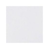 Керамогранит Top Cer Базовая плитка L4416-1Ch White - Loose 10х10 см арт-L4416/1C — фото 1, Керамогранит