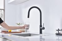 Товар: Смеситель для кухни Paulmark Galant Антрацит арт-Ga213077-AN - фото 7 Смеситель для кухни Paulmark Galant Антрацит арт-Ga213077-AN — фото 7, Смесители для кухни