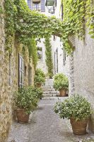 Фреска Ortograf Городской пейзаж 3971 Фактура бархат FX Флизелин (1,8*2,7) Бежевый/Зеленый, Город/Листья арт-3971 (бархат FX) — фото 2, Фрески