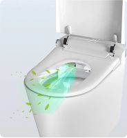 Товар: Унитаз биде Timo с сиденьем Микролифт арт-TE-741 - фото 12 Унитаз биде Timo с сиденьем Микролифт арт-TE-741 — фото 12, Умные унитазы
