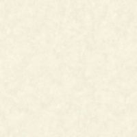 Обои Bruno Zoff Platinum Фольга на флизелине (1,06*10,05) Белый, Штукатурка арт-60104-4 — фото 1, Обои для стен