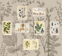 Фреска Ortograf Цветы 30232 Фактура флок FLK Флизелин (3*2,7) Бежевый/Разноцветный, Цветы/Листья арт-30232 (флок FLK) — фото 2, Фрески