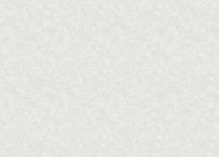 Товар: Обои Yasham Mirage Винил на флизелине (1,06*10,05) Серый, Однотонные/Штукатурка арт-S-20519-2 - фото 2 Обои Yasham Mirage Винил на флизелине (1,06*10,05) Серый, Однотонные/Штукатурка арт-S-20519-2 — фото 2, Обои для стен