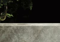 Керамогранит Ariostea Marmi Classici Fior di Bosco luc rett 60x120 см арт-PL612574 — фото 2, Керамогранит