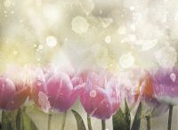 Фреска Ortograf Цветы 30562 Фактура бархат FX Флизелин (3,7*2,7) Зеленый/Розовый, Цветы арт-30562 (бархат FX) — фото 2, Фрески