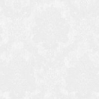 Обои Bernardo Bartalucci Carnazza Флизелин (1,06*10) Белый, Дамаск арт-5054-1 — фото 1, Обои для стен