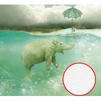 Фреска Ortograf Животные 10873 Фактура бархат FX Флизелин (3*2,7) Серый/Бирюзовый, Животные/Абстракция арт-10873 (бархат FX) — фото 1, Фрески