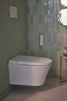 Комплект унитаза биде с инсталляцией Jacob Delafon Seine с сиденьем Микролифт и Белой глянцевой клавишей смыва арт-E34360-00 — фото 13, Умные унитазы