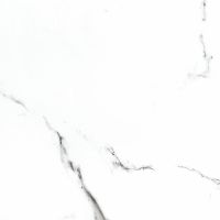 Керамогранит NT Ceramiс Bright and Shiny 60х60 см арт-BB6NTT9100P — фото 1, Керамогранит