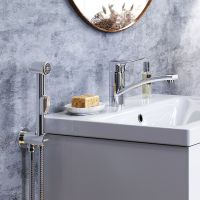 Смеситель для раковины Damixa Jupiter с гигиеническим душем Хром арт-770230001 — фото 4, Смесители для раковины