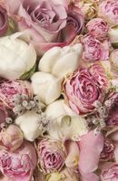 Фреска Ortograf Цветы 3905 Фактура бархат FX Флизелин (1,75*2,7) Розовый/Белый, Цветы арт-3905 (бархат FX) — фото 2, Фрески