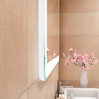 Товар: Зеркало Континент Velvette 1000x700 с подсветкой с сенсорным выключателем арт-ЗЛП466 - фото 9 Зеркало Континент Velvette 1000x700 с подсветкой с сенсорным выключателем арт-ЗЛП466 — фото 9, Зеркала в ванную комнату