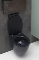 Товар: Унитаз Allen Brau Fantasy подвесной Черный матовый без сиденья арт-4.11004.31 - фото 5 Унитаз Allen Brau Fantasy подвесной Черный матовый без сиденья арт-4.11004.31 — фото 5, Подвесные унитазы